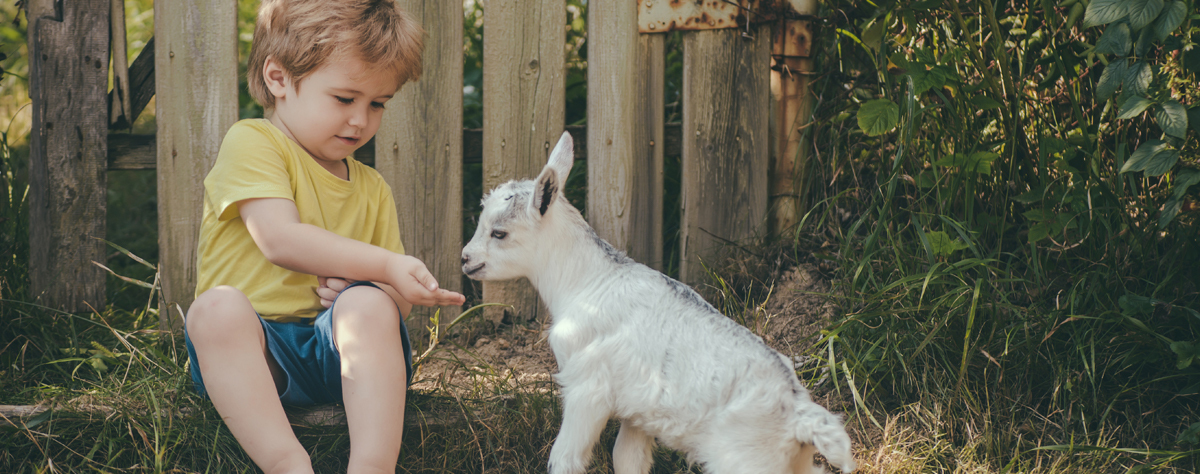 Kids swearing article