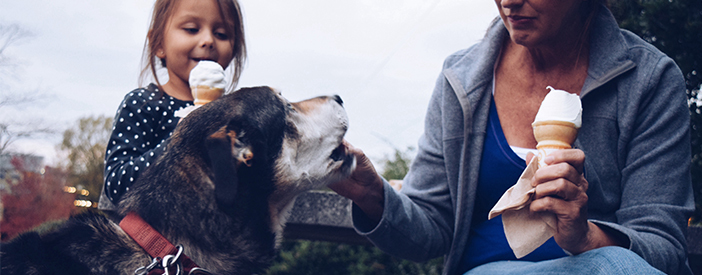 Death of a pet image