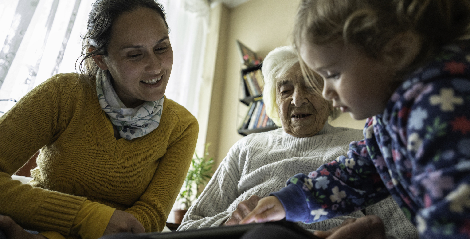 Sandwich generation 2